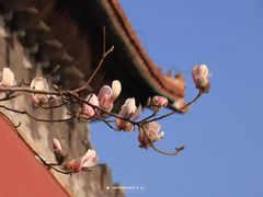 -东华门大街小区