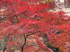 -狼山风景名胜区