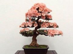-华荣哲绿豆饼(泰安店)
