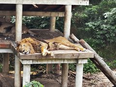 -石家庄市动物园