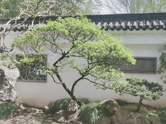 -南园(太仓市)
