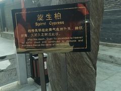 -关林