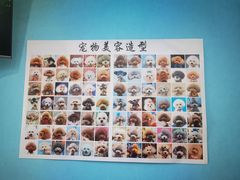 -宠福鑫动物医院·动物疾病诊疗中心(天通苑店)