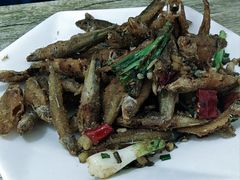 -品雅轩农家乐