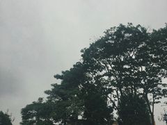 -长洲岛