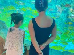 -芜湖新华联大白鲸海洋公园