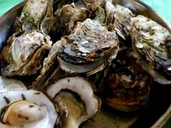 生蚝-齿留香湛江生蚝(白沙大道西店)