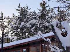 -汤泊温泉度假村