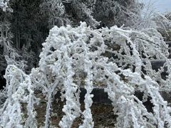 -梅州天地人花园酒店(梅县人民广场店)