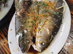 清蒸鲩鱼-大赤坎肥仔强烧味海鲜餐厅(大赤坎店)
