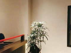 -牛New寿喜烧(金茂览秀城店)
