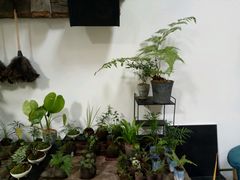 -植觉