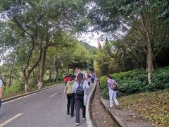 -神光山国家森林公园