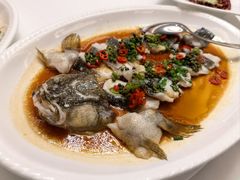 -皇朝尊会(龙之梦大酒店)