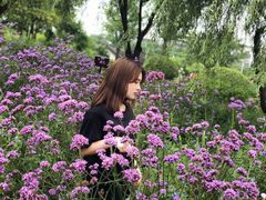 -日出青木·杭帮菜名店