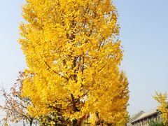 -玛雅铁板烧餐厅(中关村店)