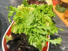 -南门四季铜锅涮肉(左家庄店)