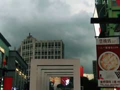-麦当劳(金桥店)