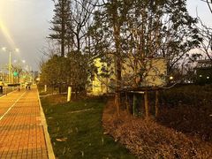 -上海山野camping·户外天幕烧烤·团建拓展营地