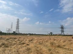 -王借岗森林公园