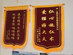 -美联众合24小时·皮肤科·外科·全科诊疗中心(华苑分院)