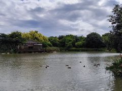 -海珠湖公园