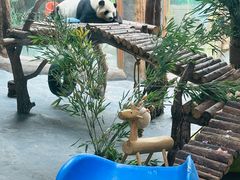 -青藏高原野生动物园