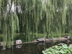 -丰台科技园生态主题公园