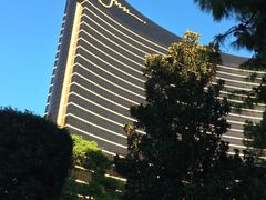 -拉斯维加斯永利酒店