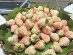 -半岛听涛蒸汽海鲜自助(K11店)