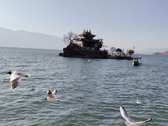 -小普陀
