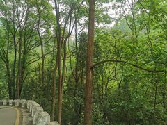 -黔灵山公园