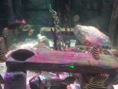 -沈阳海洋探索中心