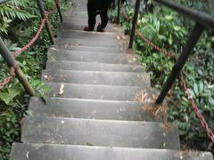 android_upload_pic-牛鱼嘴原始生态风景区