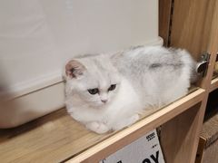 -天河领展广场