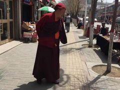 -塔尔寺