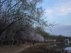-青城公园