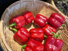 -千稻剁椒大鱼头(CityOn熙地港店)