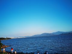 -深圳湾公园(南山区)