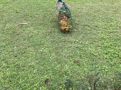 -天赐温泉