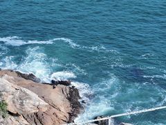 -广东惠东海龟国家级自然保护区