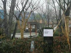 -思念果岭悦温泉