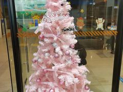 -斯坦星球AI编程·机器人科创·科学实验·信奥·思维·STEM·乐高·竞赛考级(长宁虹桥大融城荟聚中心)