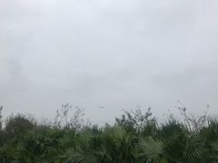 -紫颐香薰山谷景区