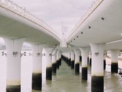 -演武大桥观景平台