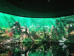 -中国湿地博物馆