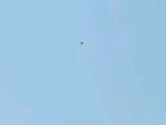 -上海滴水湖皇冠假日酒店