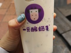 -一只酸奶牛(八一路店)