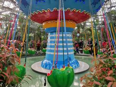 -南宫五洲植物乐园