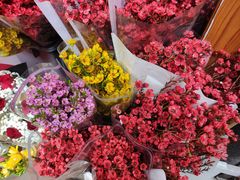 -循礼门鲜花花市(武汉循礼门店)